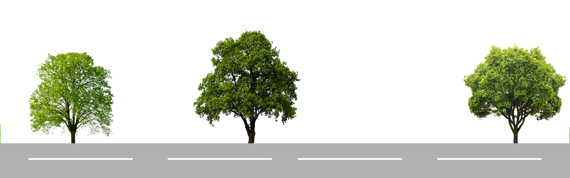 treesX